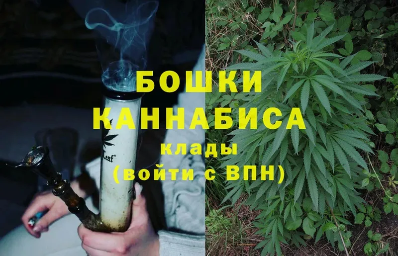 Шишки марихуана SATIVA & INDICA  hydra как войти  Лагань 